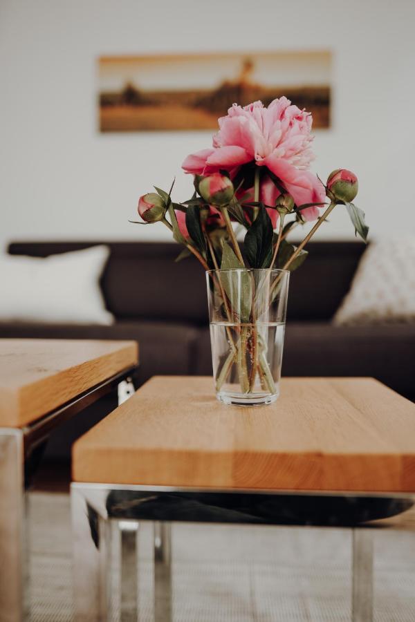 Ferienwohnung Alte Waescherei Kitzingen Dış mekan fotoğraf
